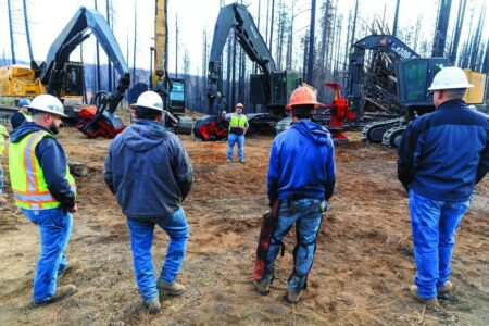 1205x0_s3-62836-1s3-62836-W-CA-JR-LOGGING-100.jpg - Machines Wiki