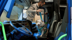 1787685608_64222_en_541a0_66415_volvo-pet-safety-cabpng - Machines Wiki Man wearing a light gray jacket leans into a blue truck cab while a dog in a teal harness sits on the driver’s seat.