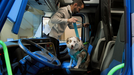 1787685608_64222_en_541a0_66415_volvo-pet-safety-cabpng - Machines Wiki Man wearing a light gray jacket leans into a blue truck cab while a dog in a teal harness sits on the driver’s seat.
