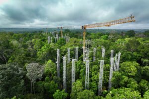 liebherr-brasil-amazonFace_Cranes-in-Rainforest_300dpijpg - Machines Wiki